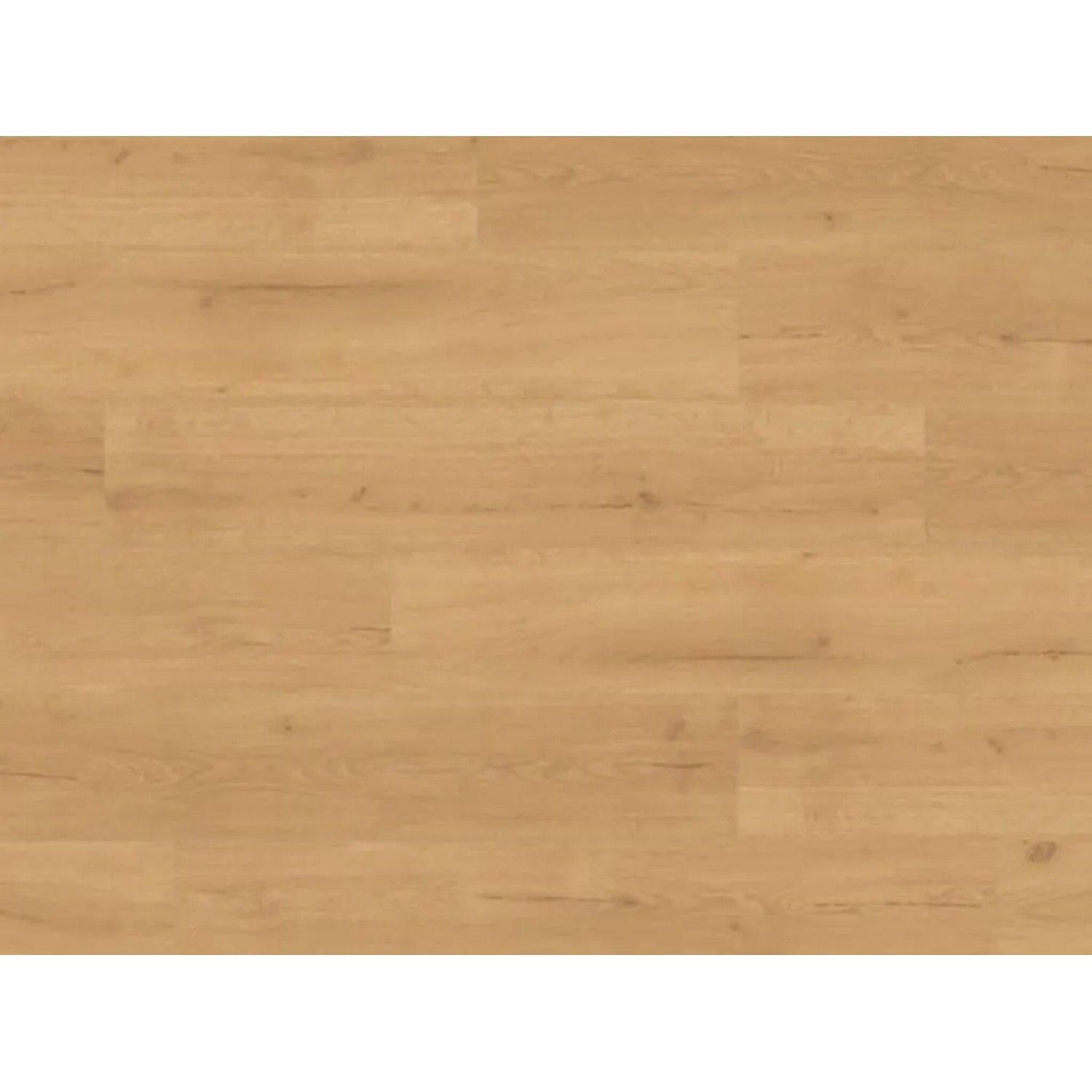 Parador Vinylboden Basic 2.0 Eiche Natur Landhausdiele
