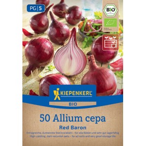 Kiepenkerl BIO Steckzwiebel Red Baron, Gr. 10/21