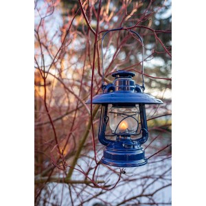 Kobaltblaue Feuerhand Sturmlaterne Baby Special mit Reflektorschirm im Garten.
