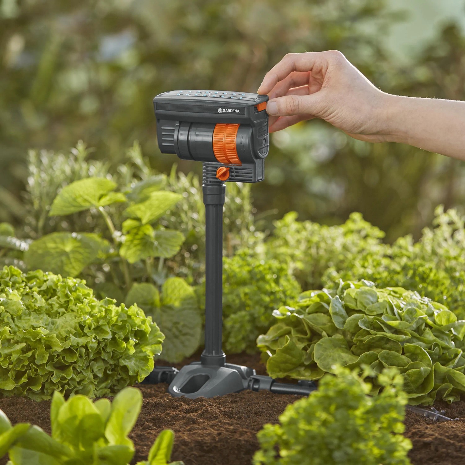 Gardena Viereckregner OS 90v im Micro-Drip-System zur Bewässerung von Gemüse und Blumen.