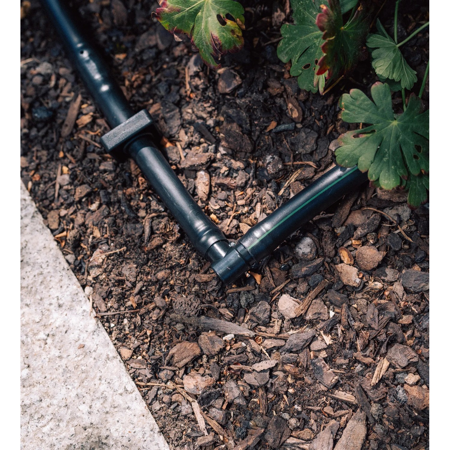 Detailaufnahme: Geka Drip-Set Bewässerung mit Tropfrohr und L-Stück im Beet, Micro-Drip-System.