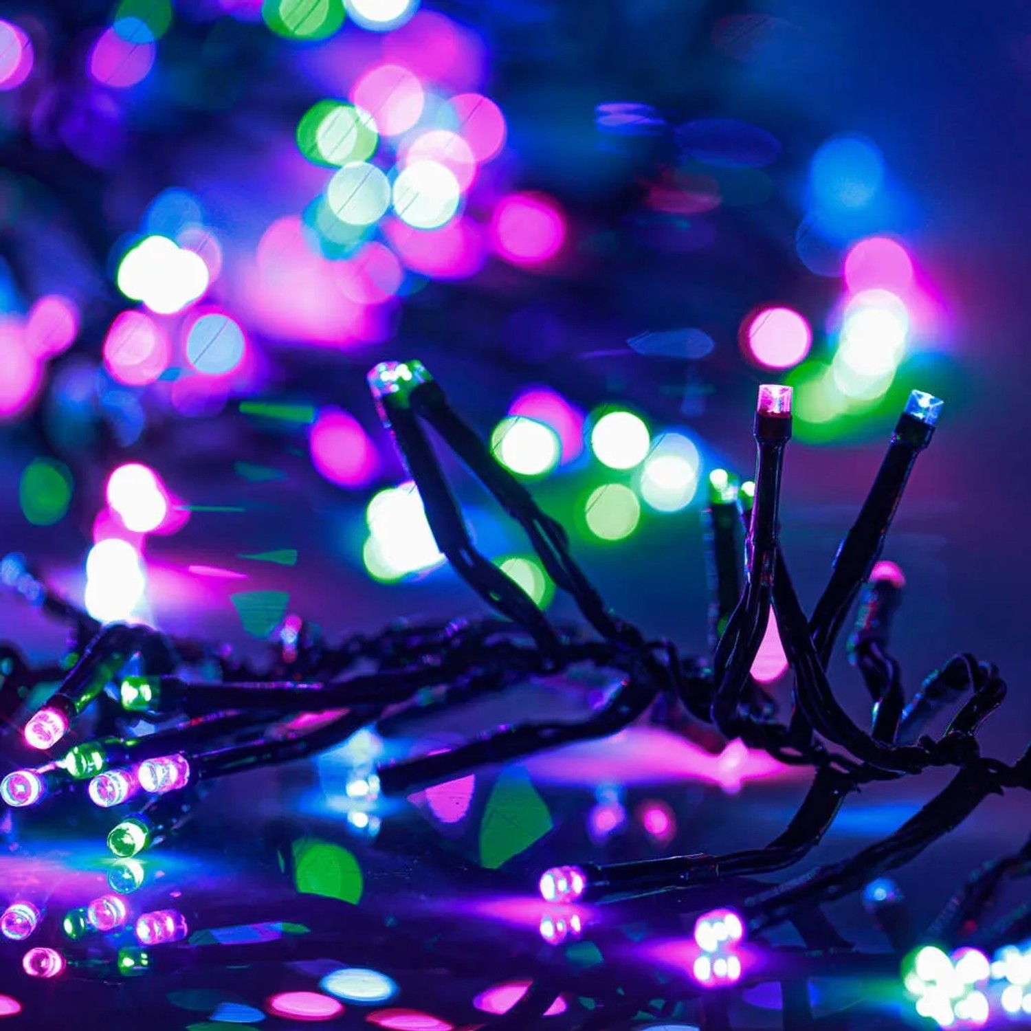 Nahaufnahme der vidaXL LED-Lichterkette mit 3000 pastell-mehrfarbigen LEDs. Lebendige Lichtpunkte in Pink, Blau, Grün für festliche Außen-Dekoration.