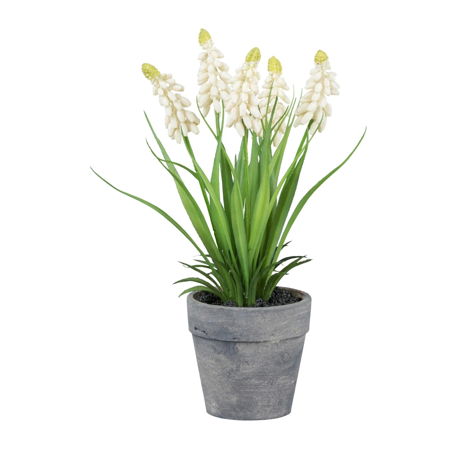 Modern Living Kunstpflanze Muscari I Weiß/Grün/Grau