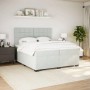 Hellgraues vidaXL Boxspringbett 200x200 cm mit Matratze und Samtbezug.