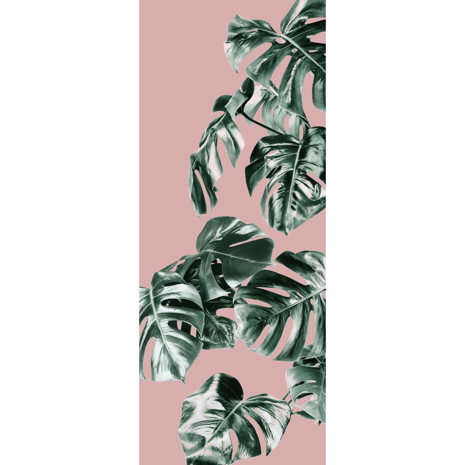 Komar Fototapete Monstera Rosé Panel B/L: ca. 100x250 cm günstig online kaufen