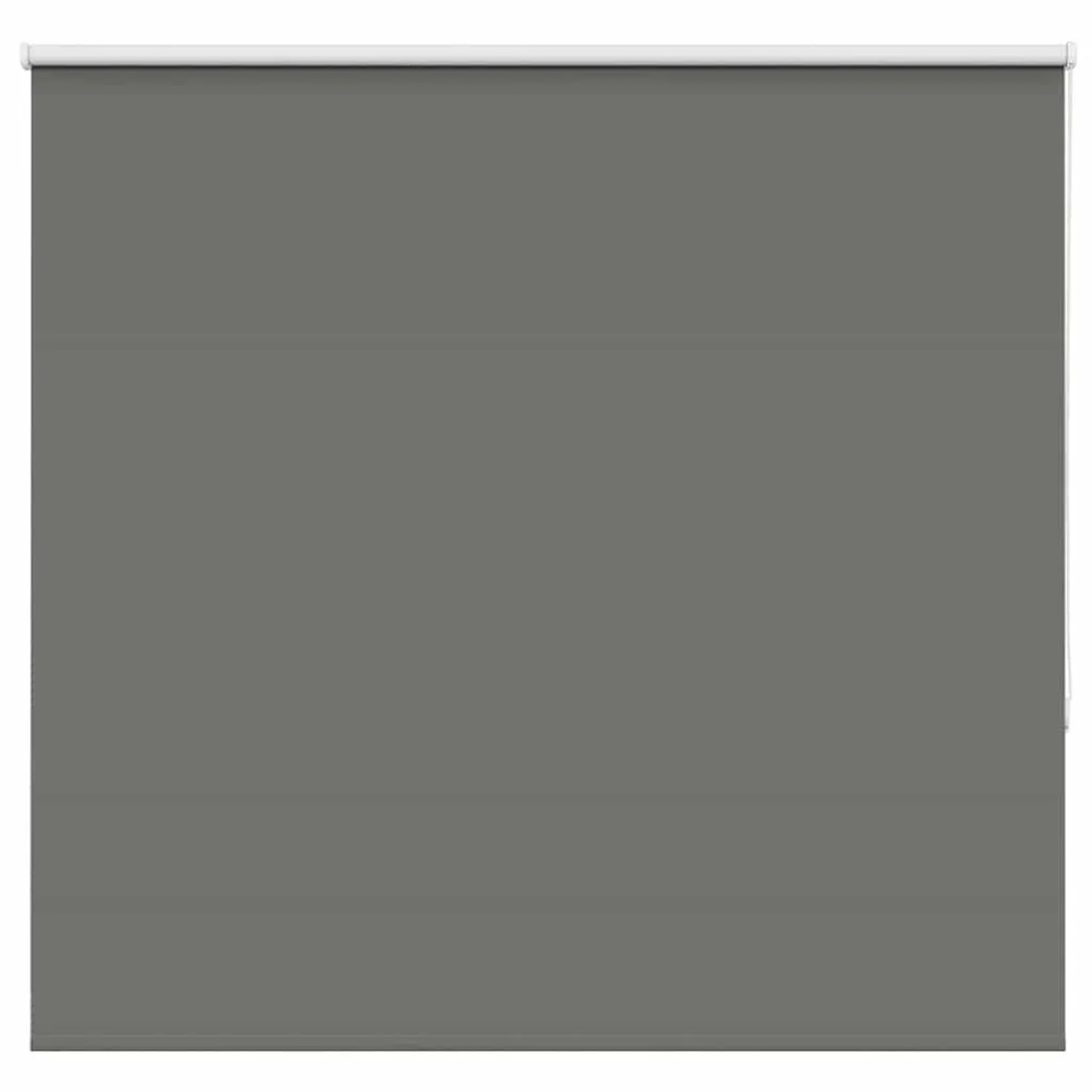 vidaXL Verdunkelungsrollo Grau 150x175cm Stoffbreite 146,6cm Polyester 4011 günstig online kaufen