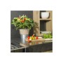 Orange Cherrytomate 'Exotenherz' im Topf mit vielen Früchten, ideal für Balkon und Garten.