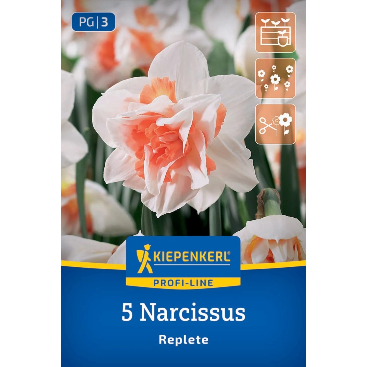 Kiepenkerl Blumenzwiebel Profi-Line Gefüllte Narzisse Replete 5 Stück