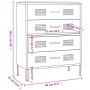 vidaXL Kommode Anthrazit 80x35x101,5 cm Stahl 336204_10