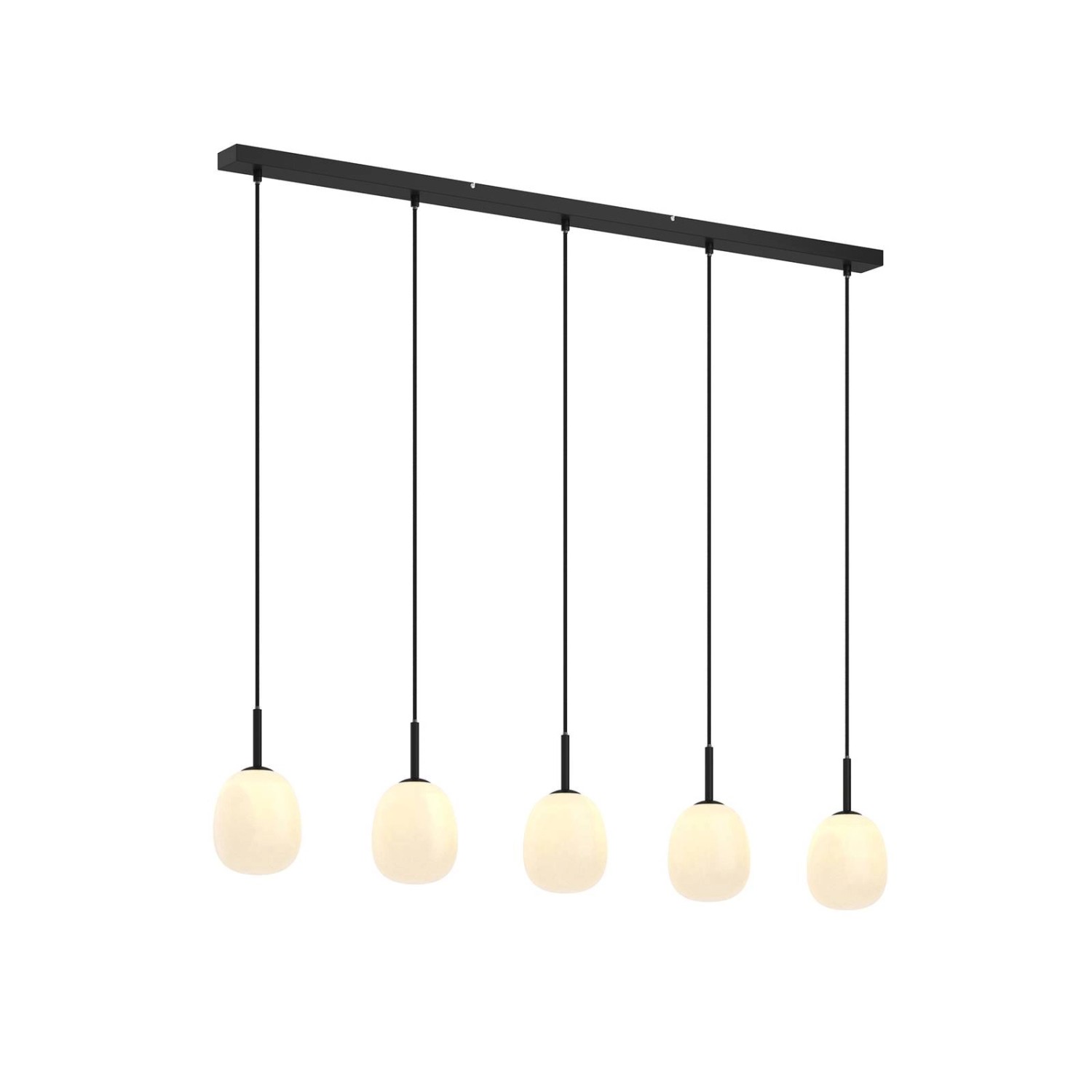 Lindby Pendelleuchte Etiena 9624846 Modern in Schwarz aus Glas 5-flammig G9 günstig online kaufen