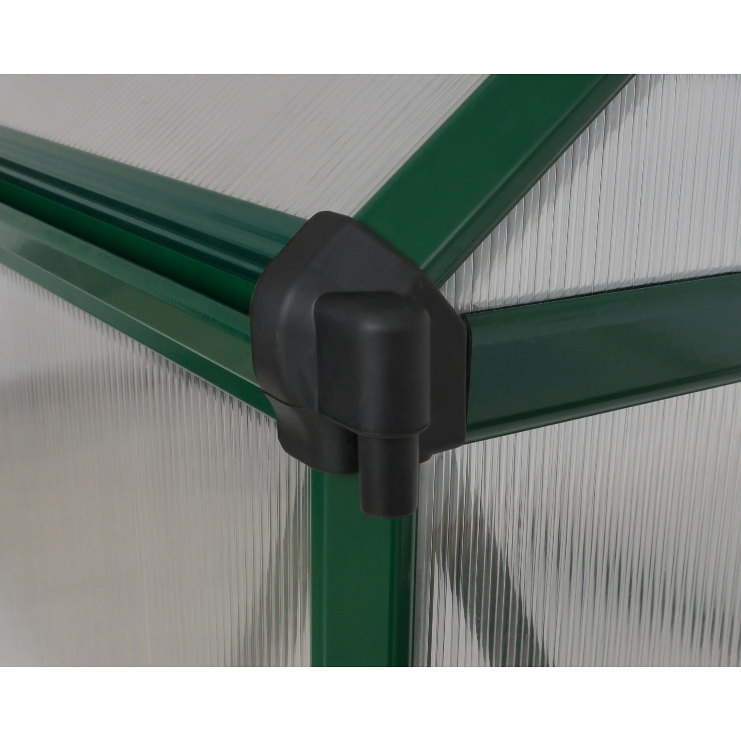 Detailaufnahme: Grüne Ecke und transparente Wand des CANOPIA by PALRAM Gewächshaus Mythos.