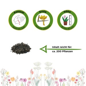 Abbildung von Bohnenkraut Samen mit Aussaat-, Ernte- und Höhenangaben.