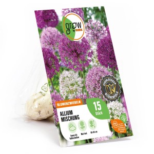 GROW by OBI Allium-Kollektion: Blumenzwiebel-Mischung mit lila, rosa und weißen Blüten.