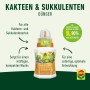 Compo Kakteendünger 250 ml für Kakteen & Sukkulenten, mit Dosierhilfe.