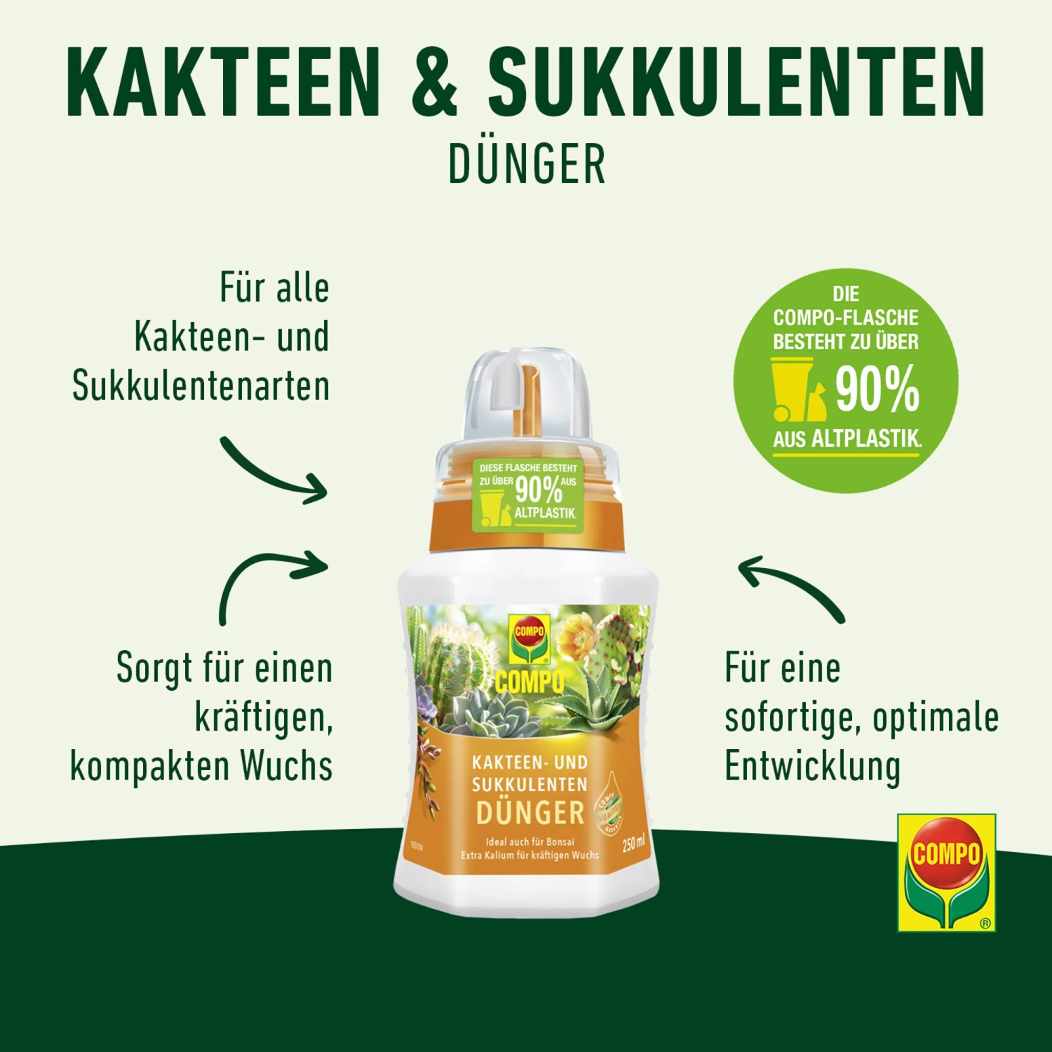 Compo Kakteendünger 250 ml für Kakteen & Sukkulenten, mit Dosierhilfe.