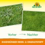 Vorher-Nachher-Vergleich: Rasen mit Unkraut vs. dichter, grüner Rasen dank Neudorff Rasendünger Spezial 5Plus1.