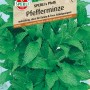Sperli Pfefferminze 'Sperlis Pfeffi' als Kräutersamen-Packung mit grünen Blättern.