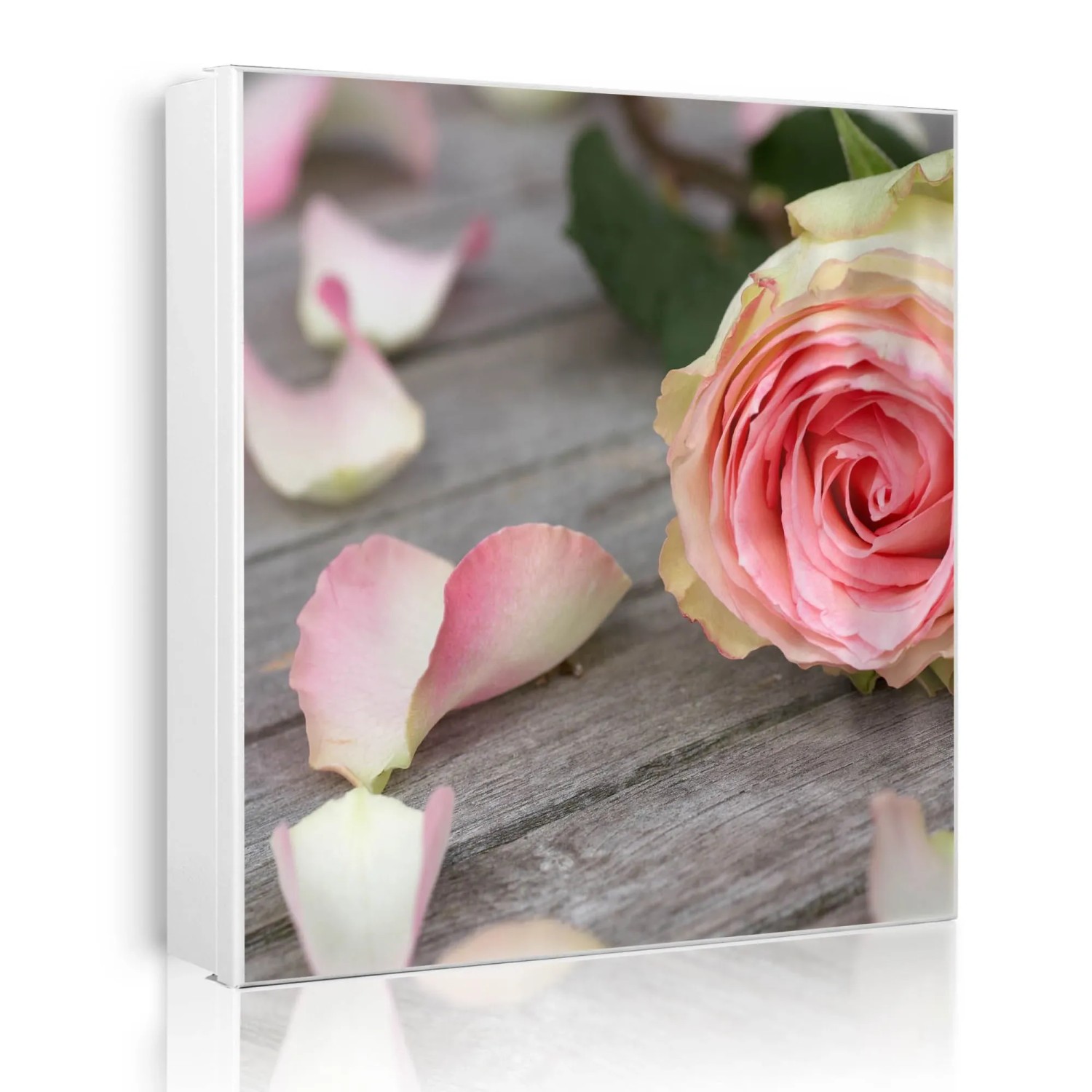 Banjado Großer Schlüsselkasten Metall 30x30cm Weiß Scharnier Rechts 50 Haken Beschreibbar Magnetisch Motiv Rosa Rose