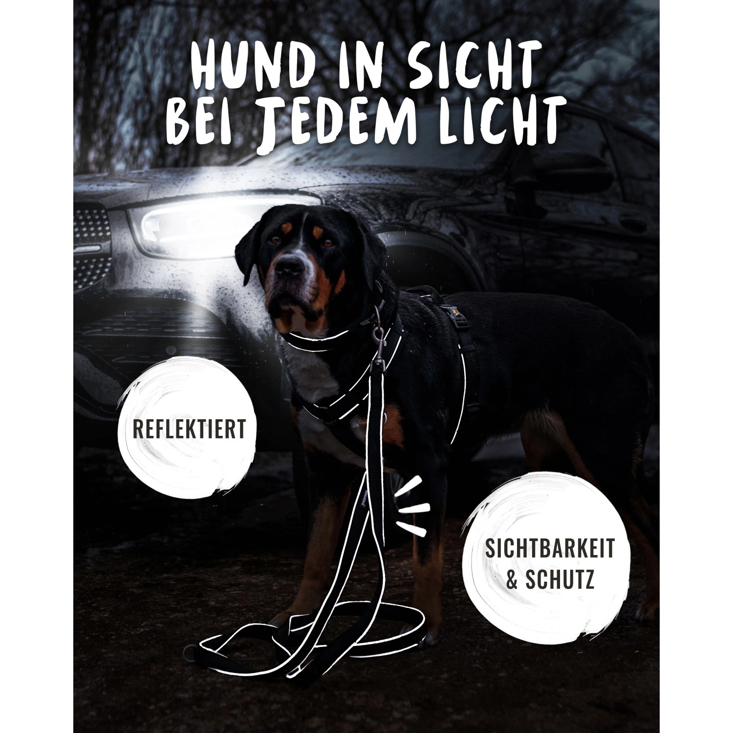 Schwarze Rudelkönig Hundeleine Paola, 20mm breit, 230cm lang, verstellbar, mit reflektierenden Elementen für mehr Sicherheit.
