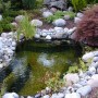 Ubbink Fertigteich Start 500 im Garten mit Steinen und Pflanzen umrandet.