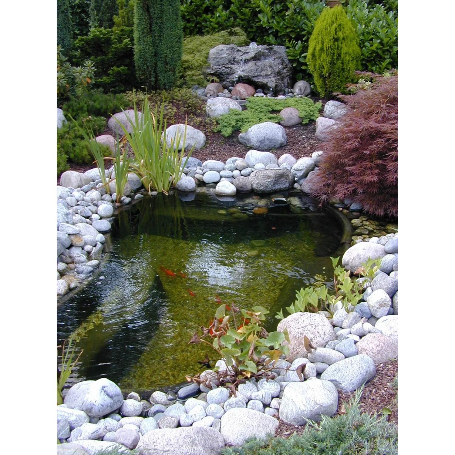 Ubbink Fertigteich Start 500 im Garten mit Steinen und Pflanzen umrandet.