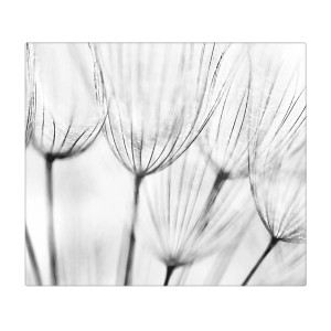 Banjado Herdabdeckplatte Glas mit Pusteblumen Motiv, 60x52cm.