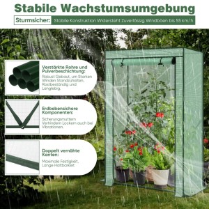 Grünes Foliengewächshaus 50x100x150 cm mit Tomatenpflanzen, PE-Folie, windfest. Ideal für Gemüseanbau.