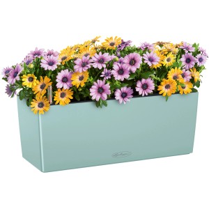 Lechuza Balconera Color 50, pastellgrüner Blumenkasten mit bunten Margeriten.