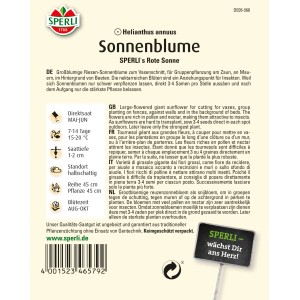 Samenpackung Sperli Sonnenblume Sperlis Rote Sonne, braunrote Sonnenblume für Beet und Vase.