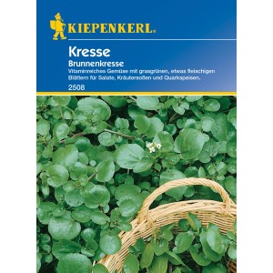 Kiepenkerl Kresse Brunnenkresse Samen mit grünen Blättern im Korb.