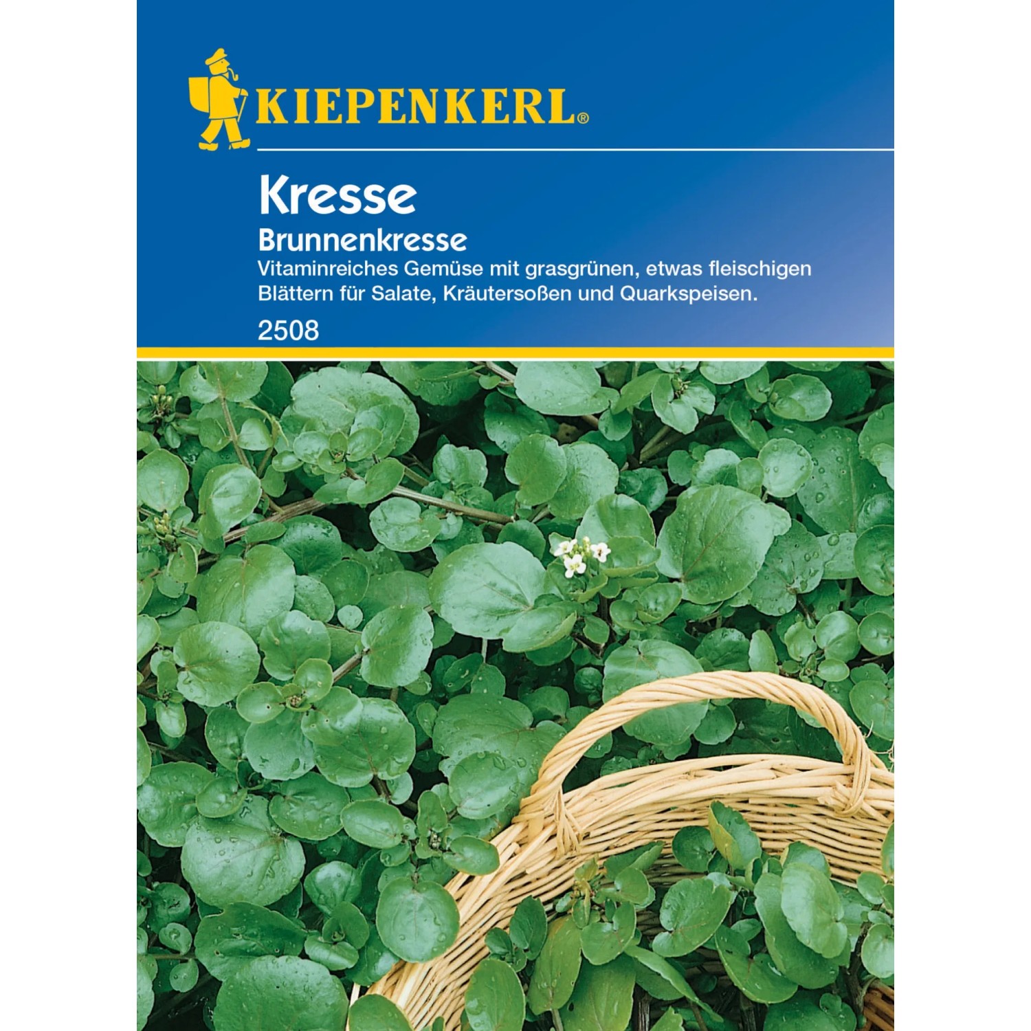 Kiepenkerl Kresse Brunnenkresse Samen mit grünen Blättern im Korb.