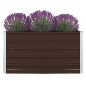Braunes furnicato Metall-Hochbeet (100x100x45cm) mit Lavendel bepflanzt.