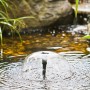 Heissner Solar-Teichpumpen-Set mit Wasserspiel im Gartenteich. Sprudelnde Wasserfontäne.