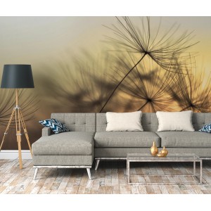 Fototapete mit Pusteblumen in Orange und Gelb, 3,50x2,55m, für Wohnraumgestaltung.