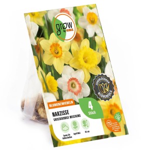 Packung großkronige Narzissen-Mischung von GROW by OBI, verschiedene Farben, Blütezeit April-Mai.
