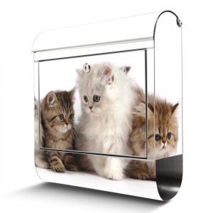 Edelstahl Briefkasten mit Katzen Motiv und Zeitungsfach, rostfrei, 38x43x12.5cm.