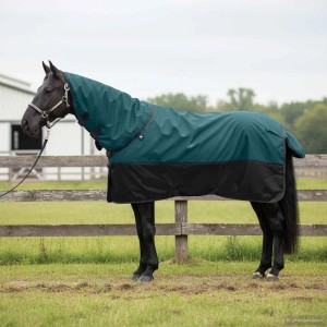 vidaXL Pferdedecke, dunkelgrün/schwarz, 155 cm, Polyester, atmungsaktiv und wasserdicht.