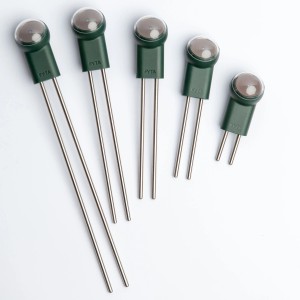 Fyta Bodenstäbe für 6 in 1 Pflanzensensor, 11cm, aus rostfreiem Edelstahl.