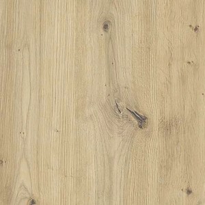 Rückwandplatte HDF Eiche Astig, 280x207x0,3 cm, Detailansicht der Holzmaserung.