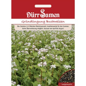 Dürr Samen Gründüngung Buchweizen, 50g Saatgutpackung mit blühendem Feld.