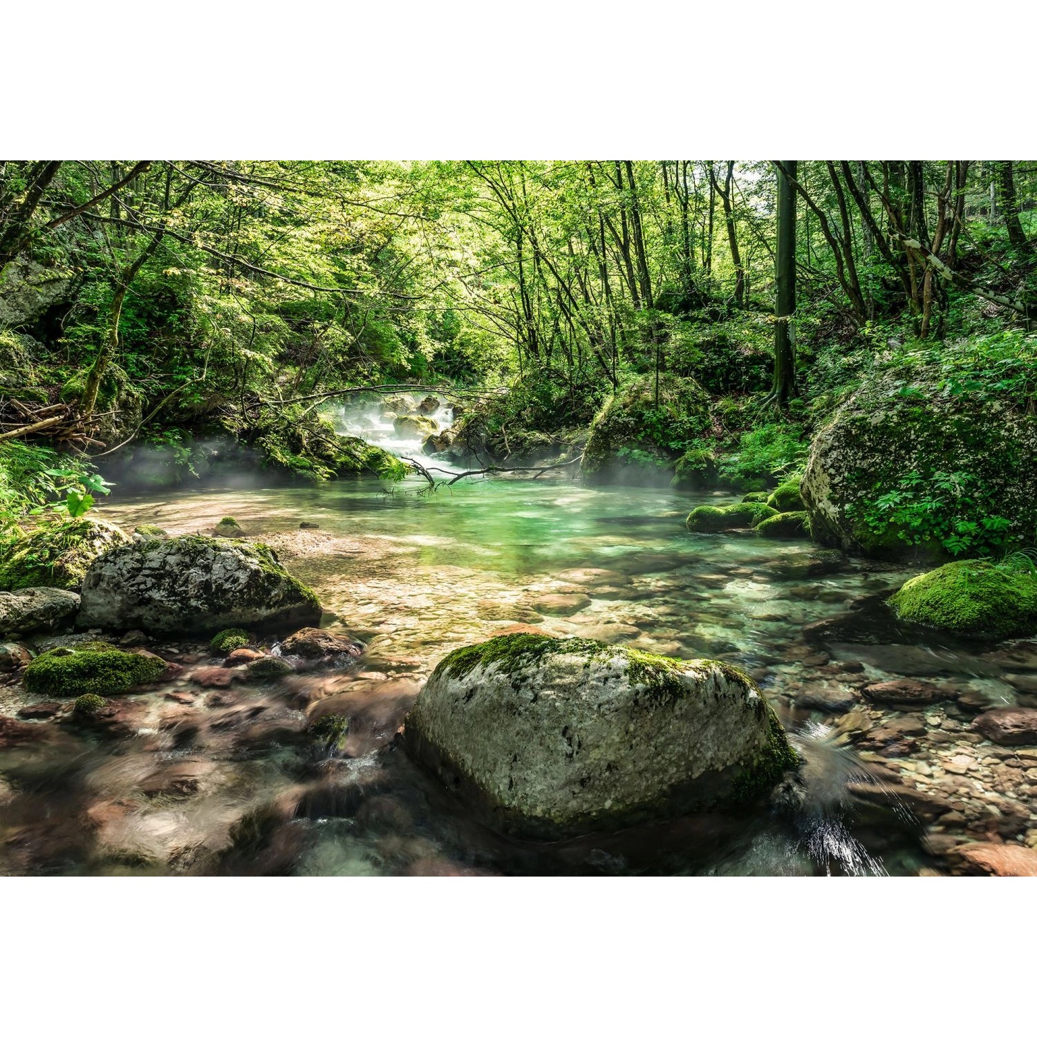 Komar Fototapete Fototapete Riverbed Grün 368 x 254 cm 610927 günstig online kaufen