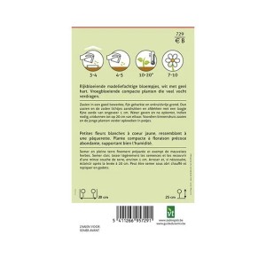 Samenpackung Sumpf-Chrysantheme 'Reines Weiß', schmetterlingsfreundliche Blumensamen.