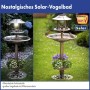 Bronze-farbenes Westfalia Solar Vogelbad 4-in-1 aus Metall. Multifunktionale Vogeltränke mit Brunnen, Futterstelle und Pflanzschale.