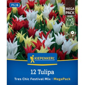 Kiepenkerl Blumenzwiebel Mega-Pack mit 12 lilienblütigen Tulpen in Rot, Gelb, Weiß. Tres Chic Mix für Garten & Kübel.
