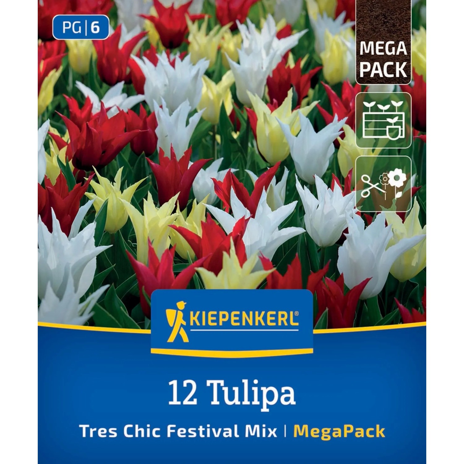 Kiepenkerl Blumenzwiebel Mega-Pack Lilienblütige Tulpen Tres Chic Mix 12 Stück