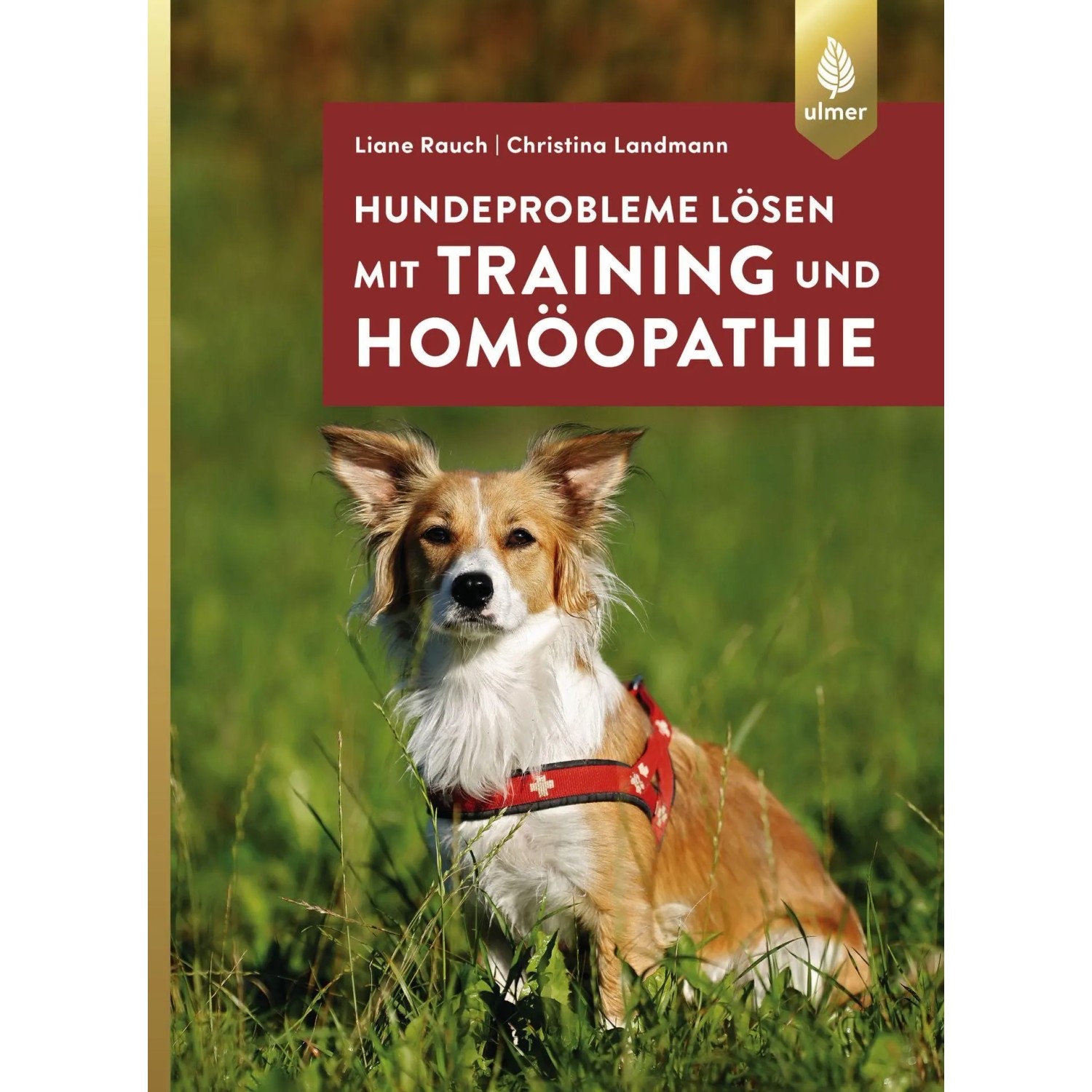 Hundeprobleme,ösen mit Training und Homöopathie
