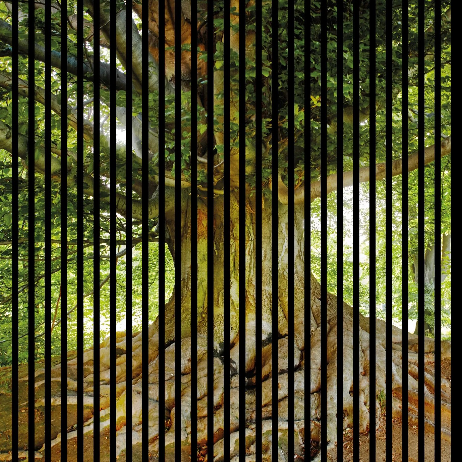 FN Acustico Akustikplatte Baum 1 PET u. MDF Foliert 1.133 x 19 x 1.195 mm