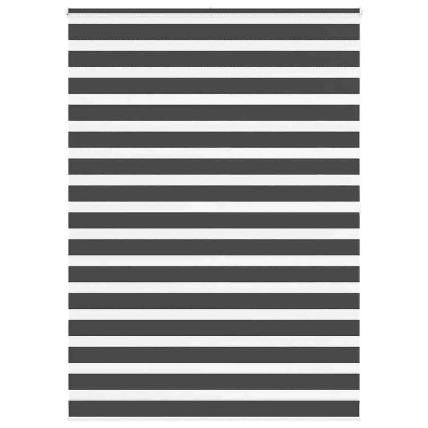 vidaXL Doppelrollo Schwarz 165x200 cm Stoffbreite 160,9 cm Polyester 401427 günstig online kaufen