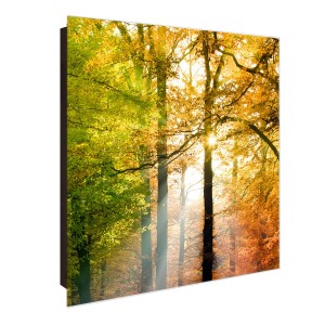 Schwarzer Banjado Schlüsselkasten mit Glasfront, Herbstwald Motiv, 50 Haken, beschreibbar & magnetisch.
