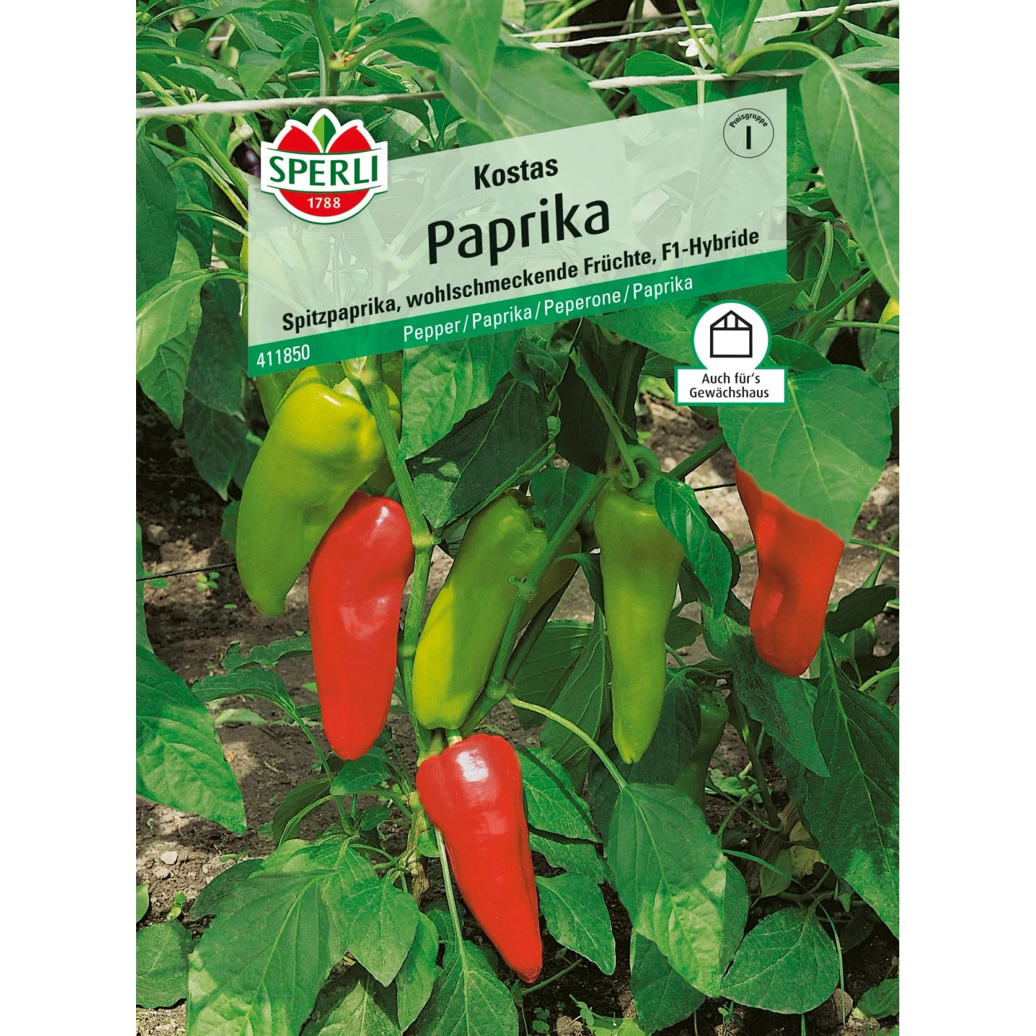 Sperli Paprika "Kostas" F1-Hybride